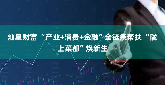 灿星财富 “产业+消费+金融”全链条帮扶 “陇上菜都”焕新生