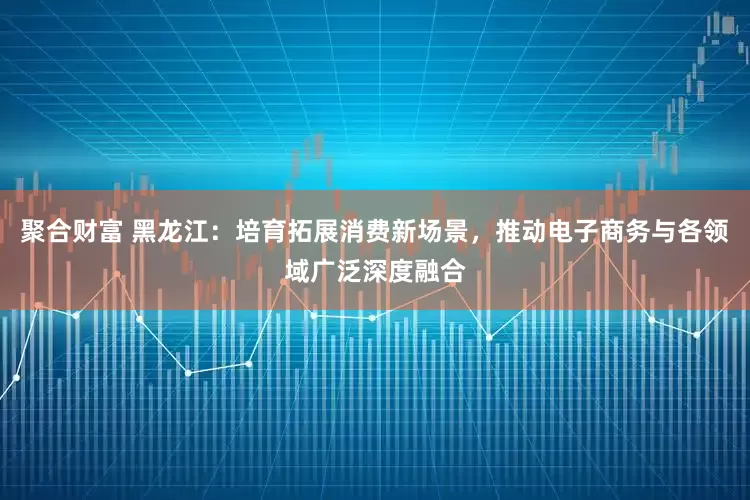 聚合财富 黑龙江：培育拓展消费新场景，推动电子商务与各领域广泛深度融合